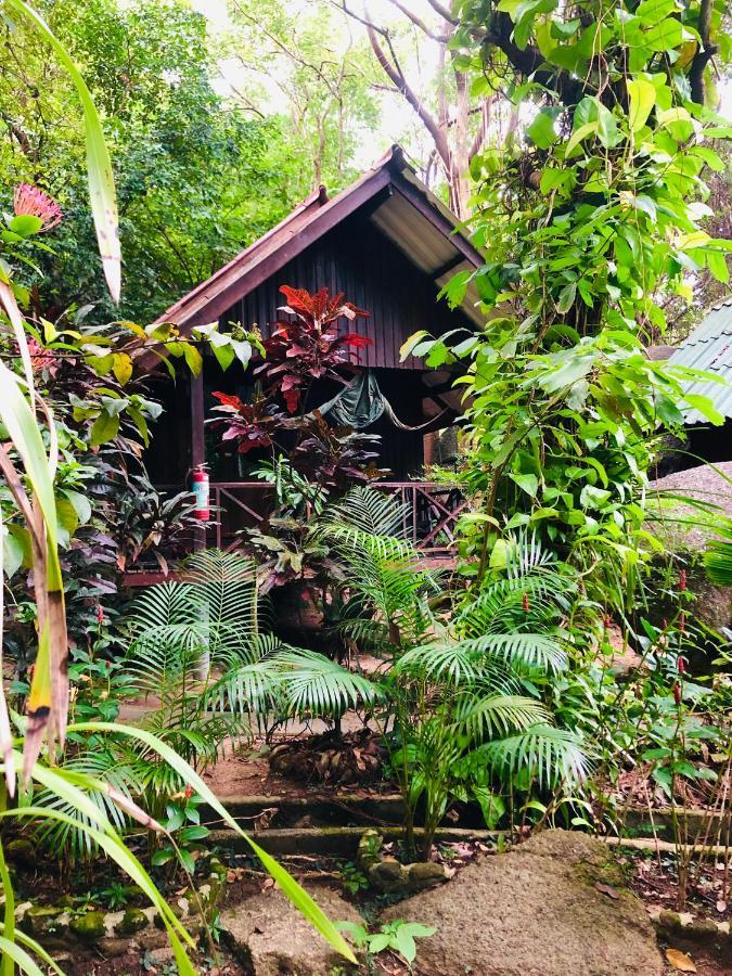 ホテル Bambu Huts バーン・タイ エクステリア 写真