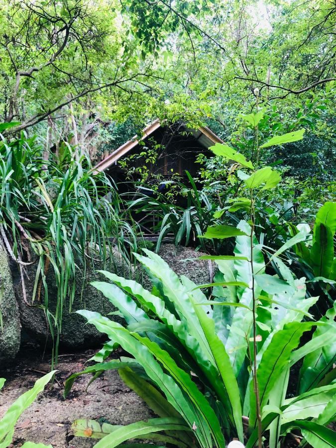 ホテル Bambu Huts バーン・タイ エクステリア 写真