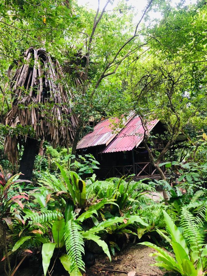 ホテル Bambu Huts バーン・タイ エクステリア 写真